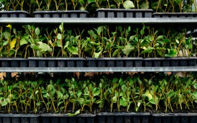 Is Your Business Thriving?
